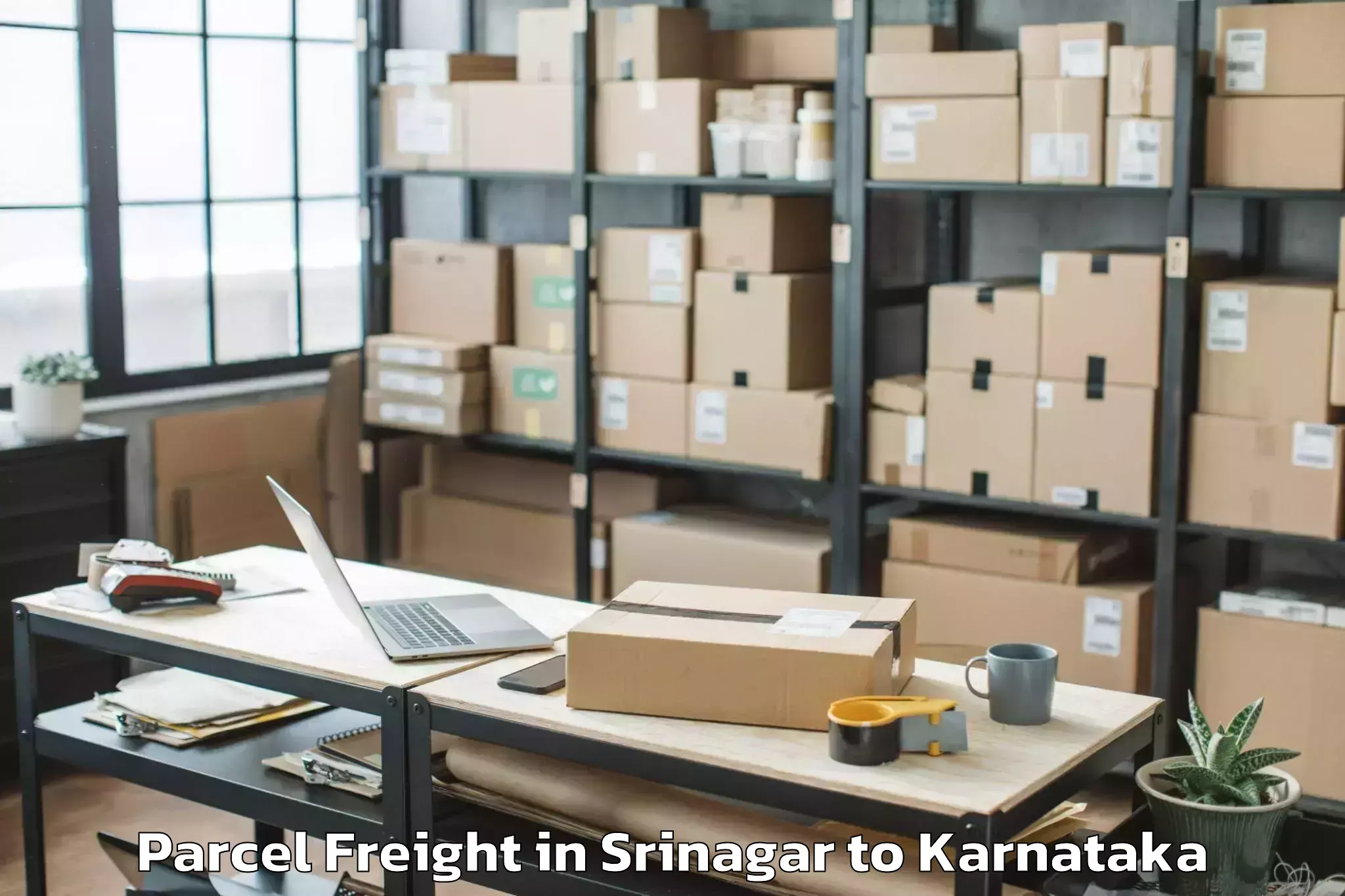 Top Srinagar to Kannada University Vidyaranya Parcel Freight Available